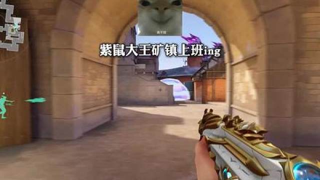 鼠大王开始生气的上班ing