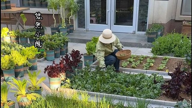 种菜是乱花钱吗？我觉着不是#田园生活