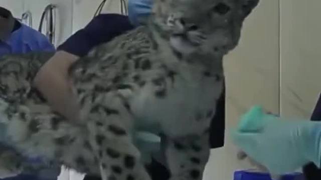 被称为最穷的动物园，却是最有爱的地方西宁野生动物园，被称为最穷的动物园，却是最有爱的地方  ​