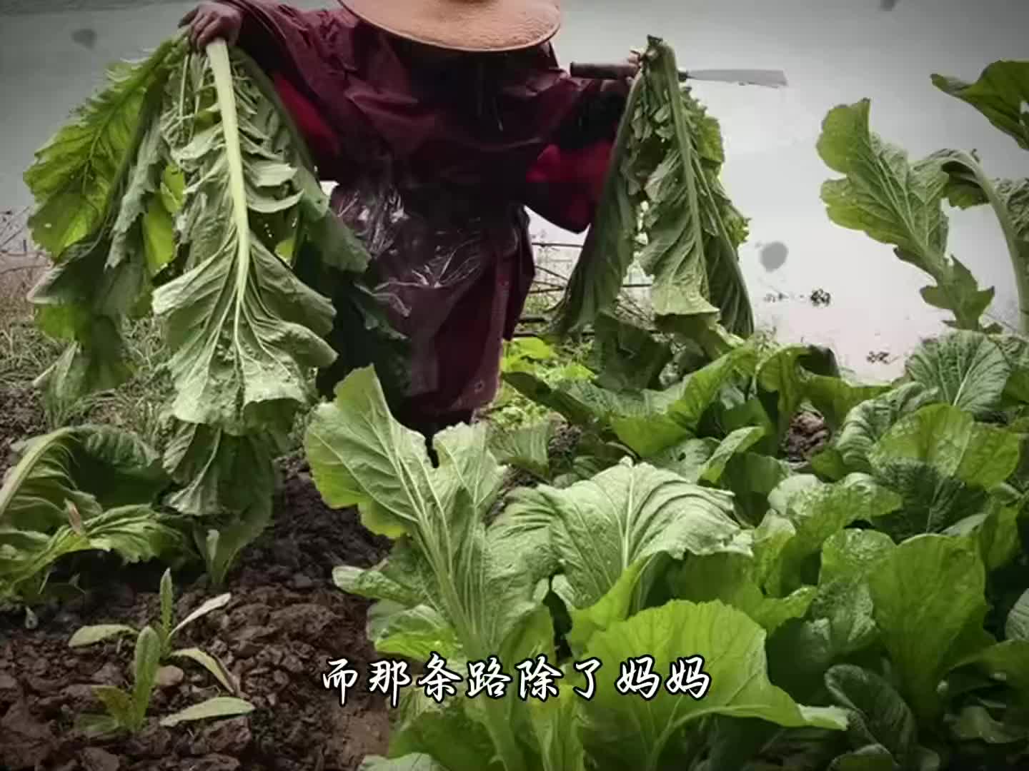 妈妈留下的最后的礼物