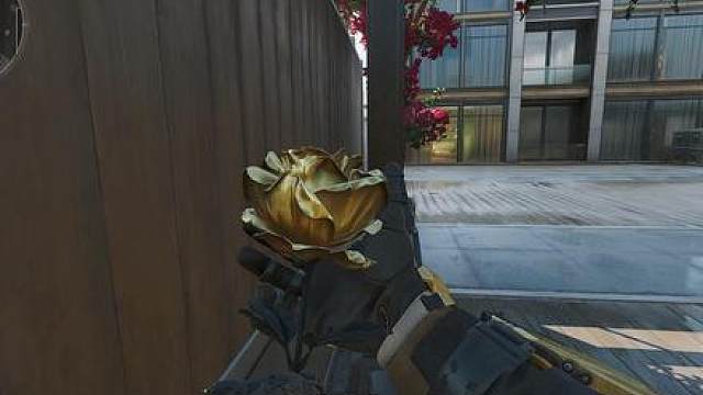 谁把这些塞我怀里了