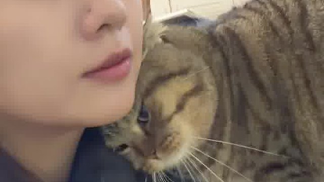 他到底想干嘛啊！刚吃了饭