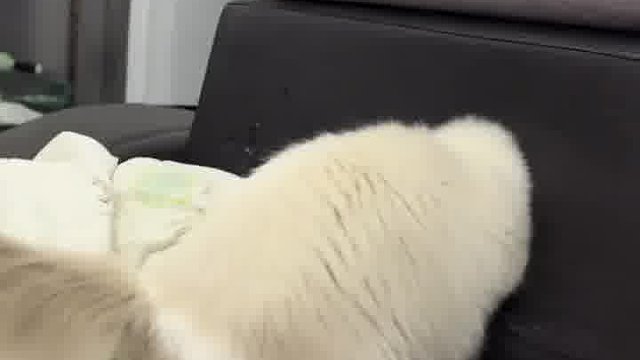 就这么水灵灵进去了？？？