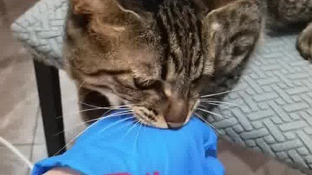 我的美梦什么时候能实现