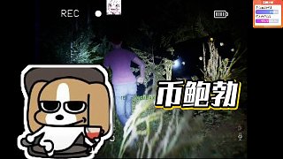 【狂鳥丶比巴卜】幣鮑勃