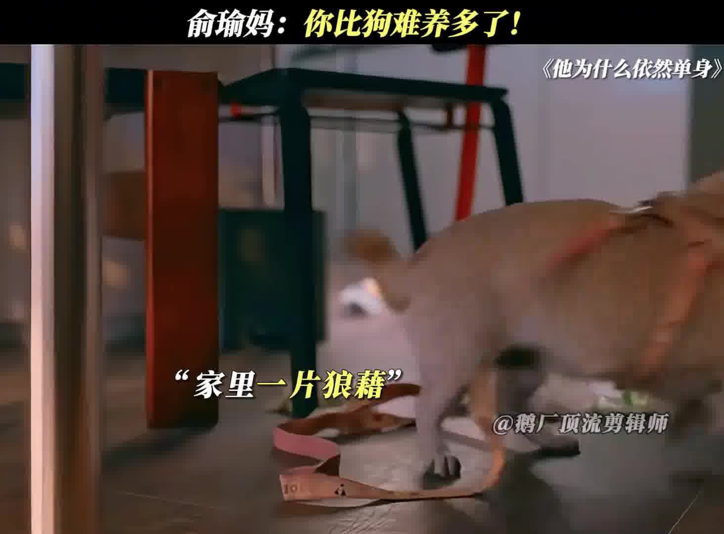 俞瑜妈：你比养狗麻烦多了！