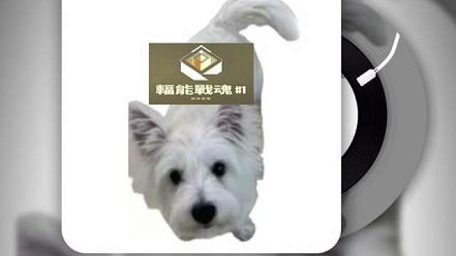 啥情况？cxy说唱