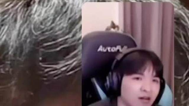 假如康康在跟cxy视频通话