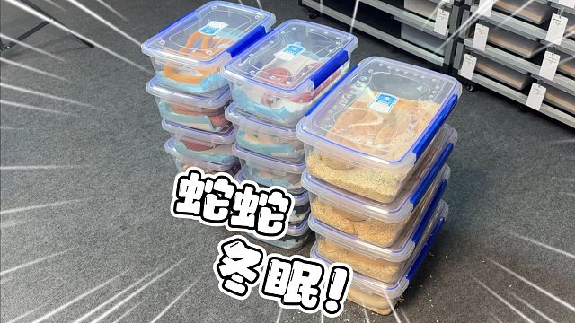 蛇蛇：人晚安！两个月后见