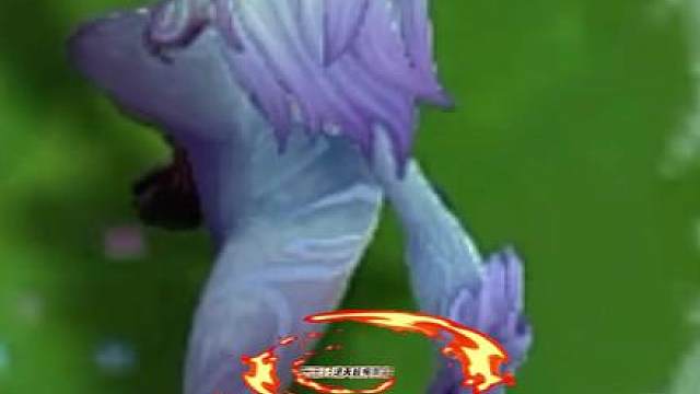 国一王者冲分阵容，一星锁血，成型根本无解，技能秒过前排