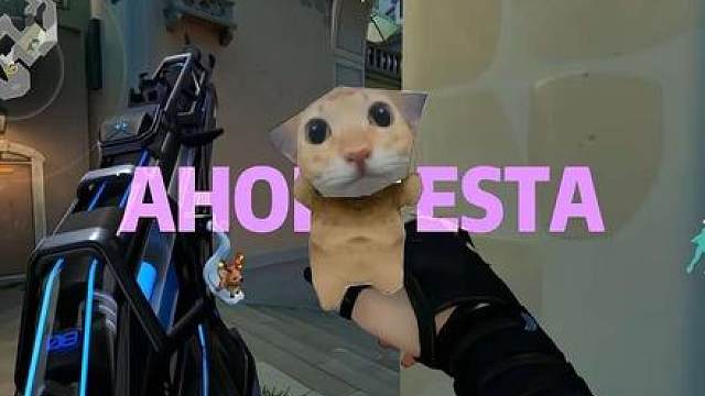 阿咪嘎蒂朵喵喵