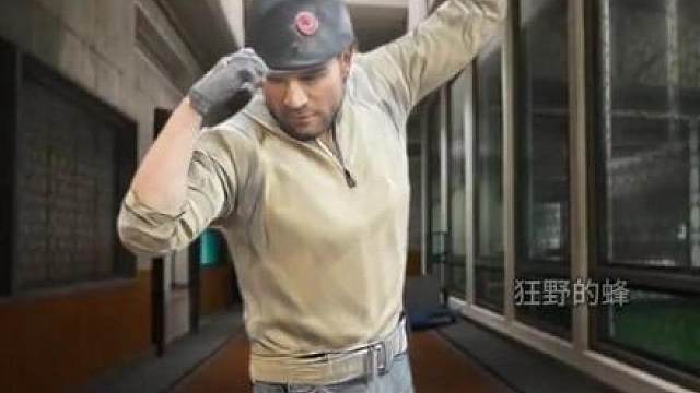 蜂医眼中的自己 (二）