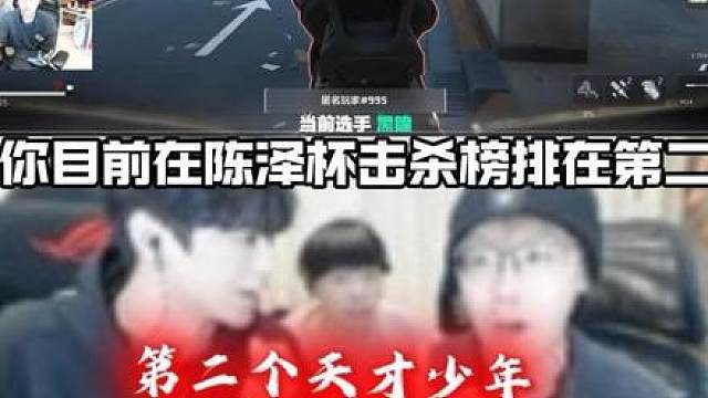 陈泽杯三角洲D组第二个天才少年黑瞳13杀