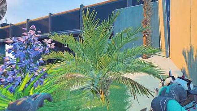 给我1分钟让你爱上绝密跑刀333