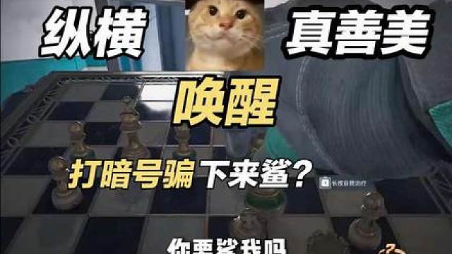 纵横唤醒真善美！打暗号骗鼠鼠下来鲨？ 那就干看着叭哈哈哈
