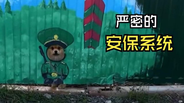 那些动物们的尴尬时刻！