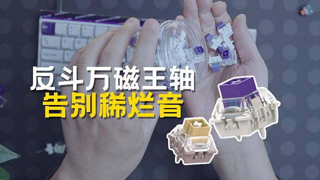 告别稀烂音，TTC 反斗万磁王轴  - 磁铁包裹 结构优化