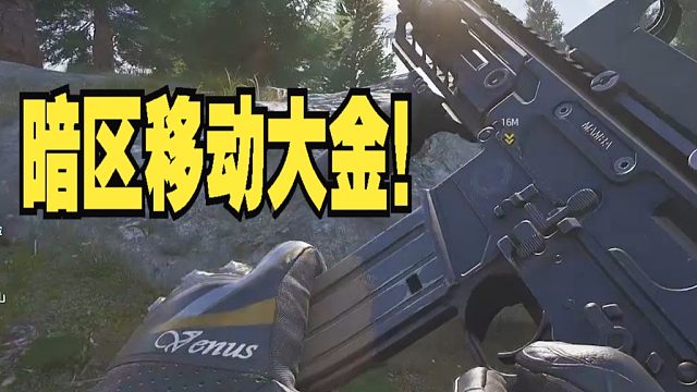 《暗区移动大金》