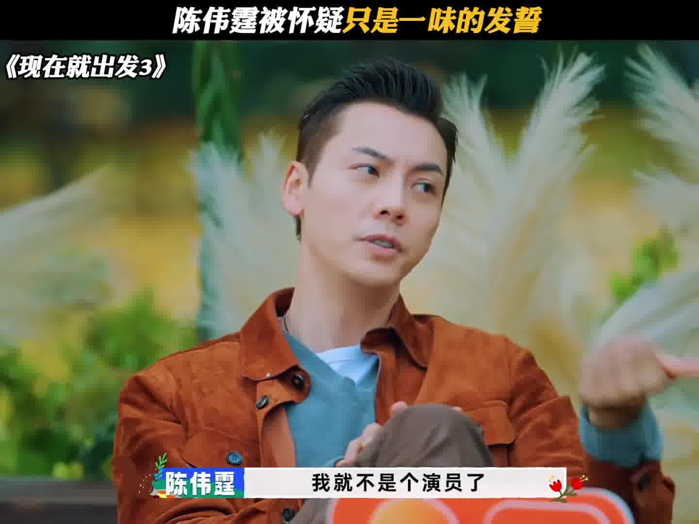 陈伟霆被怀疑只是一味的发誓