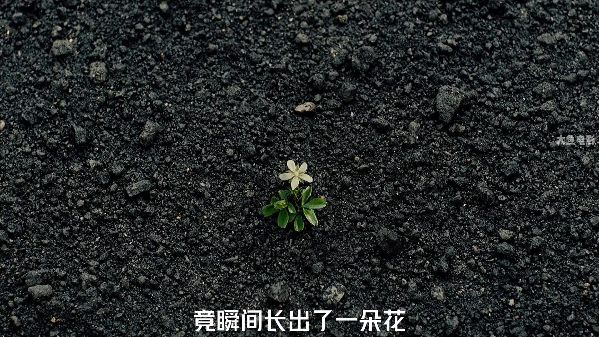 第1集丨诺亚方舟