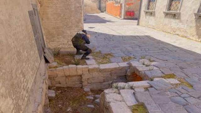 《吓一激灵》 这一刻苍蝇头心里会在想什么呢