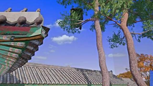 这是一个悲伤的故事