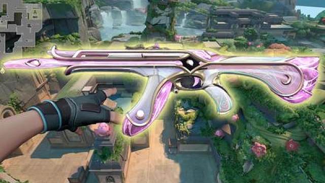 猫猫套和夜市已经正式提上日程