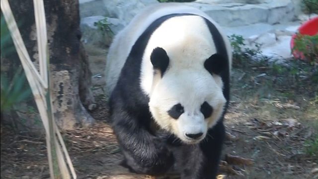 大少爷驾到，通通闪开！