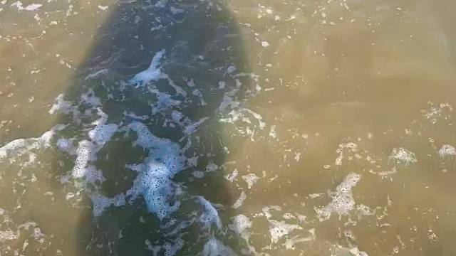 自助海底捞火锅，现抓现吃