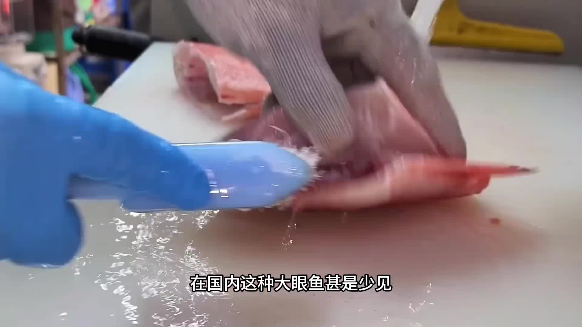 一个眼睛占据着整个鱼头的一半