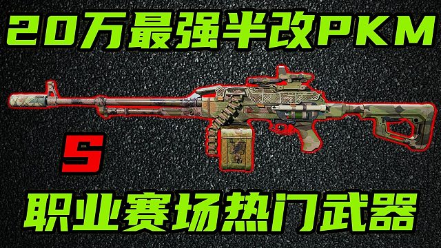 三角洲行动 20万强度天花板！职业赛热门武器！新版本PKM最强半改教学！【S】