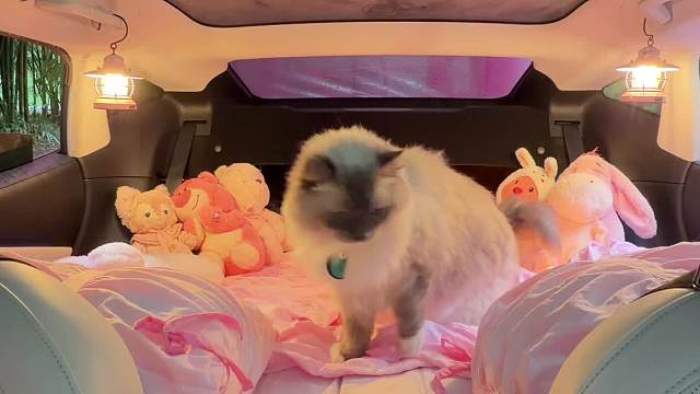 暴雨天水屋露营女生在装满水的帐篷露营