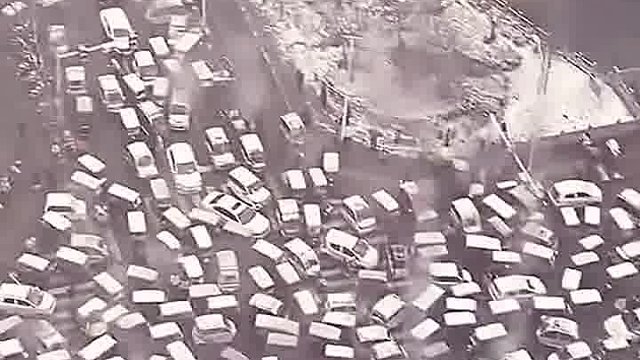 真是一动不动的