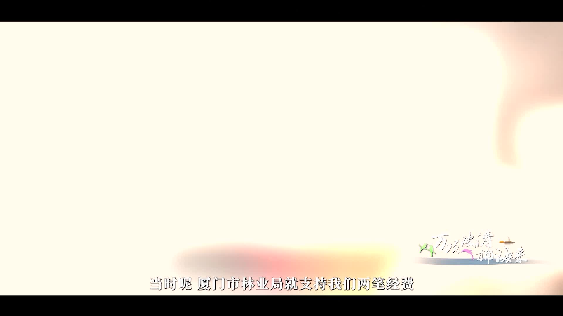 第三集 红树林的朋友圈