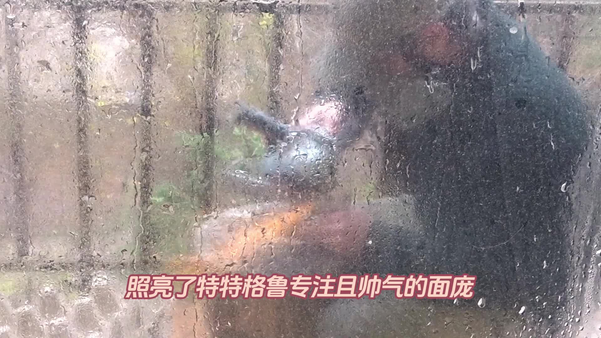 谁懂啊！废铁堆捡的怪斧，修复师竟改成砍切两用神器