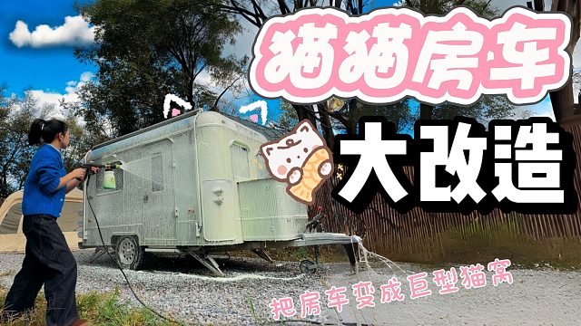 把房车改造成巨型猫窝到底有多快乐？