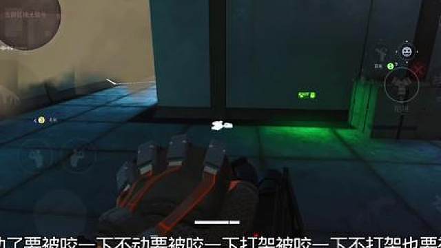 专业套狗队来了