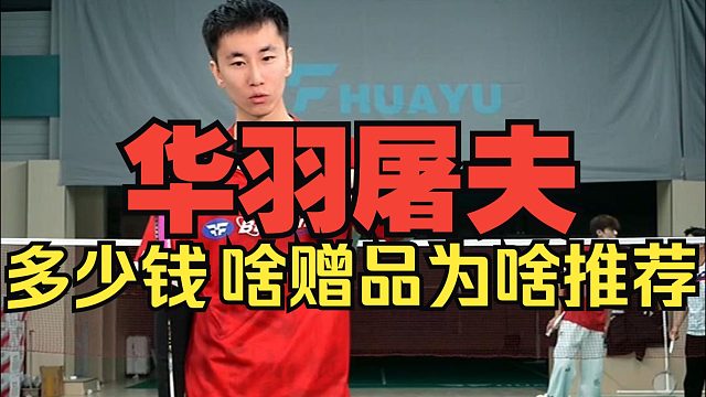 刘辉教练新球拍，华羽屠夫，什么价格？有啥赠品？为啥推荐，辉哥一个视频告诉你
