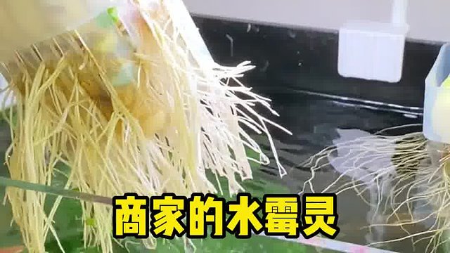 鱼儿被撑死，也不告人的秘密