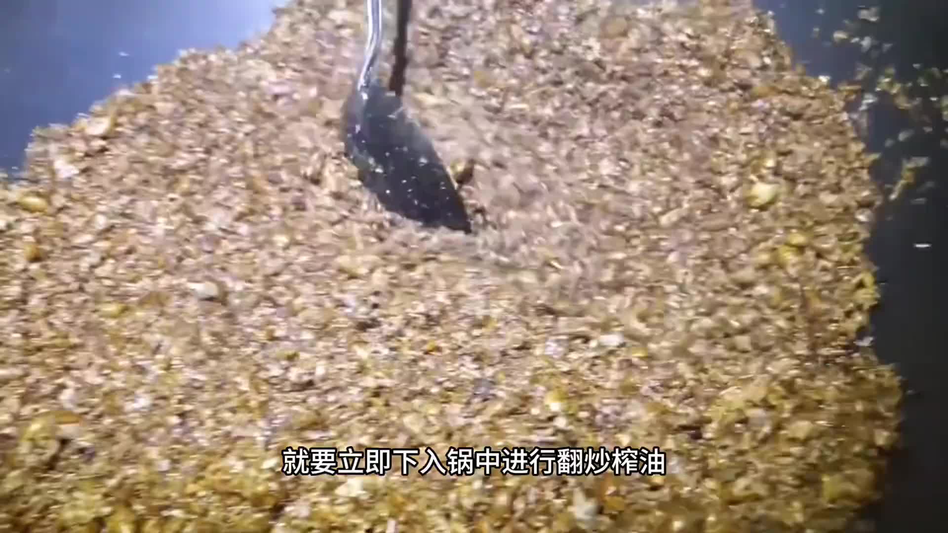 聪明的老板用一文不值的蝉壳来榨油