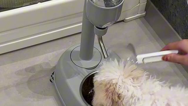 34岁未婚未娃：下班后的独居反差日常