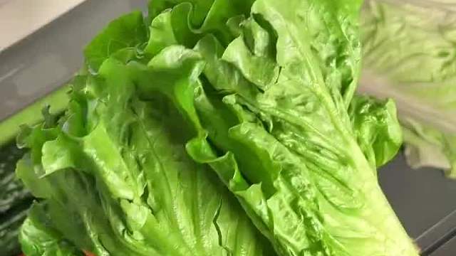 夜宵芥末冷泡罗氏虾 生菜牛肉饭的快乐  ​