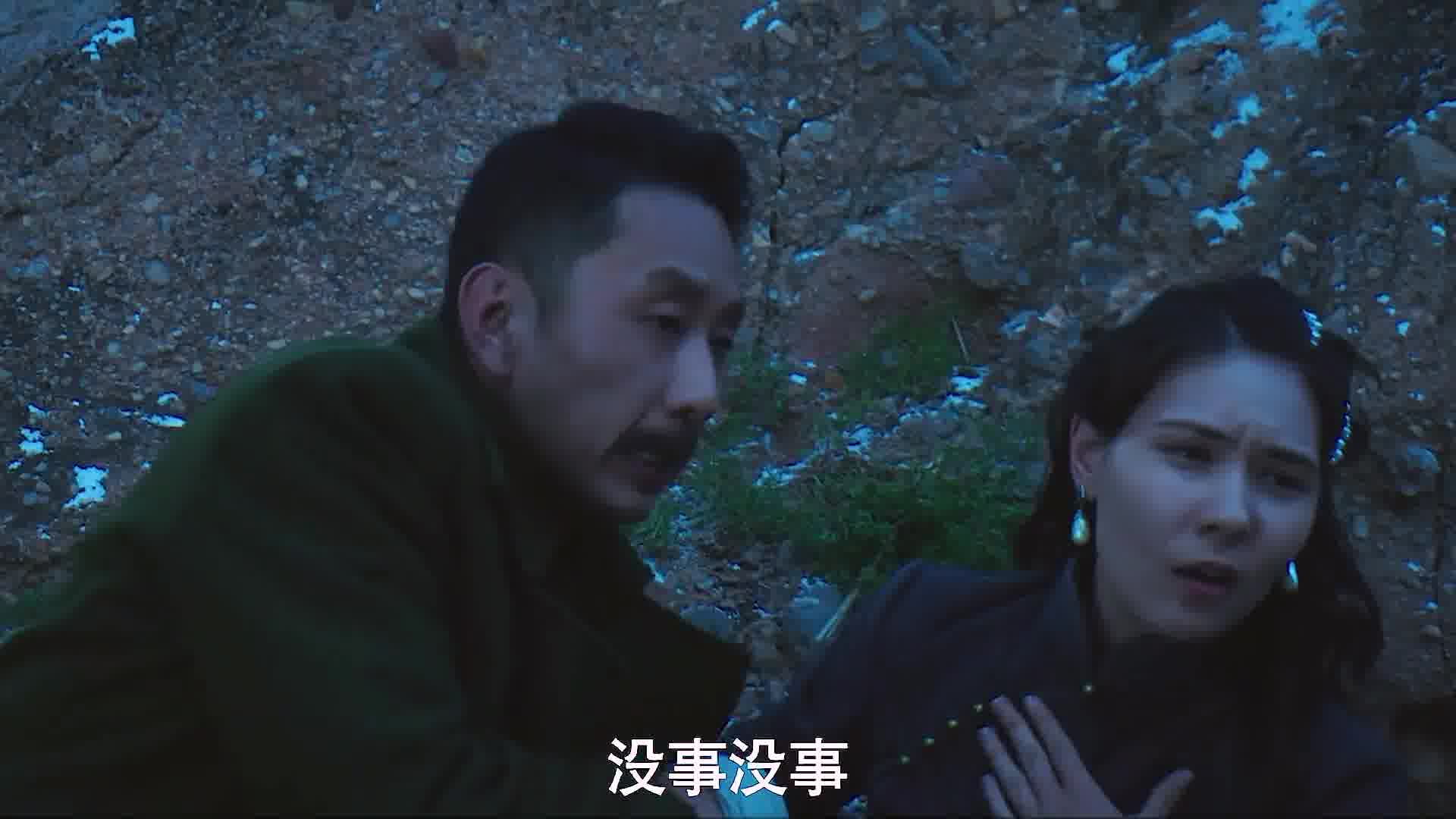 原想喂雪豹吃饼，结果却让它遭了枪击。