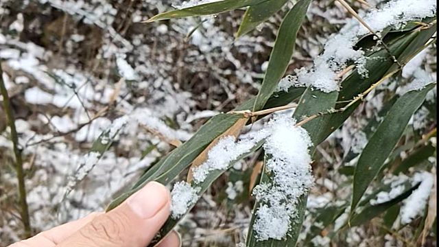 我们这的第一场雪，是大雪，可惜还没堆起来，又要变小雪了
