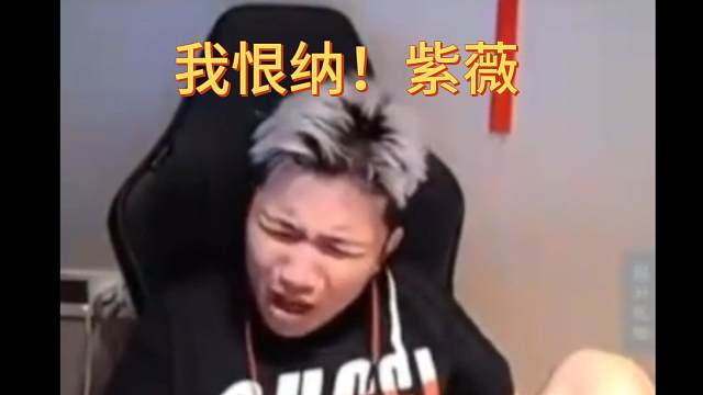 一个视频告诉你DANKING有多恨紫薇