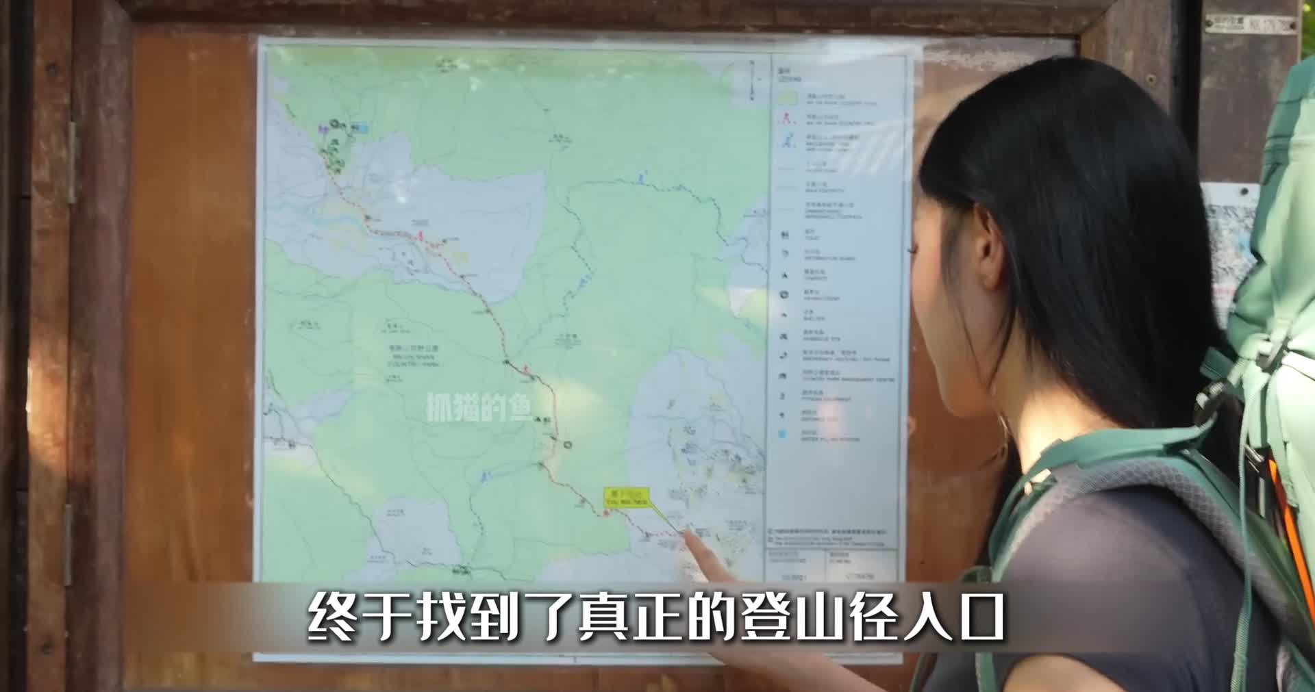 韩国妹子在香港露营巧遇野猪。