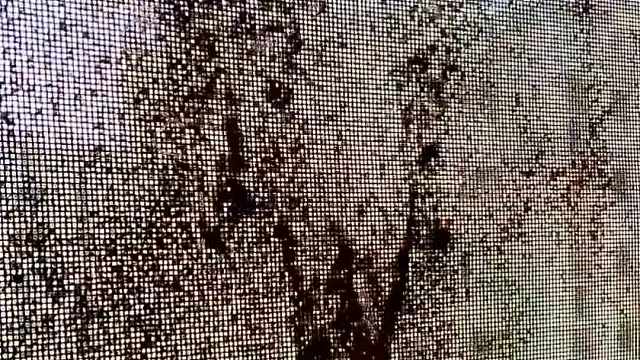 婆婆现在才告诉我的祖传清洁妙招