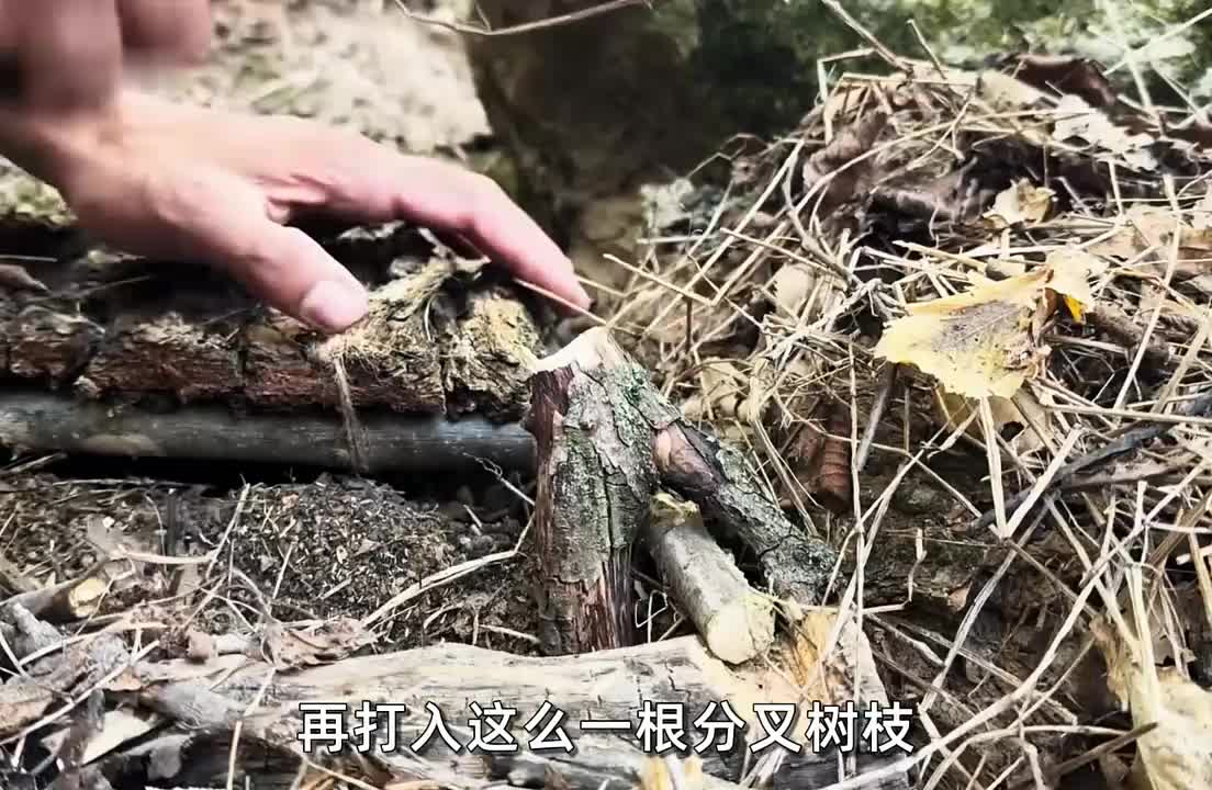 如果你在睡前刷到这条视频，那就祝你看完美美进入梦乡~ (3)