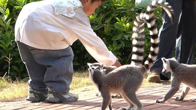 一群贪吃的小朋友