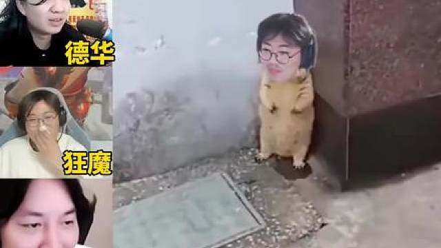 当大仙德华狂魔观看鬼畜 《教训一只狂魔》